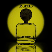 Amarillo | Maio 2025